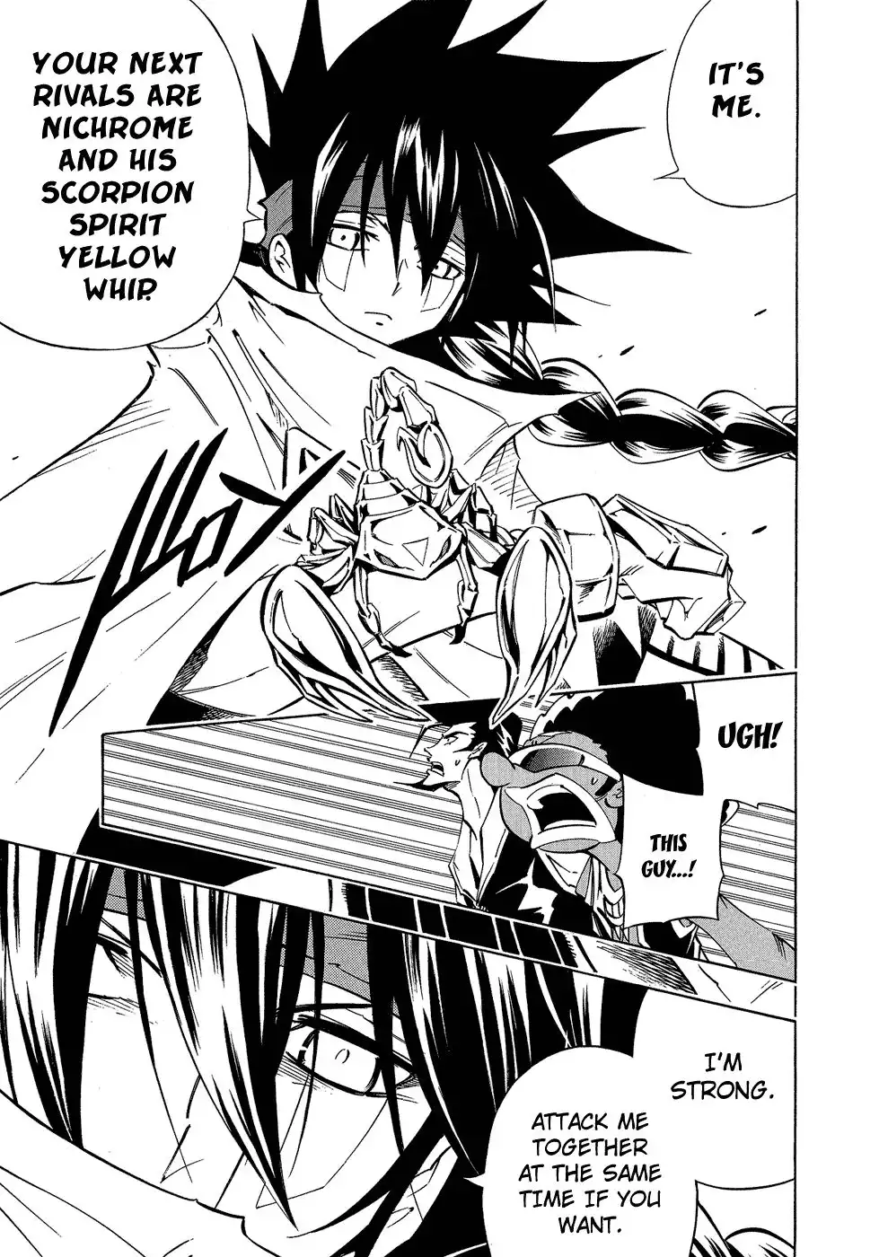 Shaman King Chapter 290 12